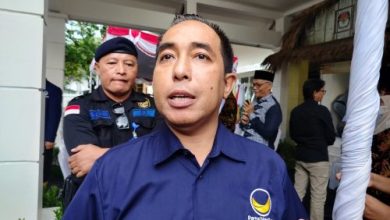 Anggota DPR RI Fraksi Partai Nasdem Mori Hanafi. (Iba)