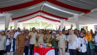 Penjabat (Pj) Gubernur Nusa Tenggara Barat (NTB), Dr. Hassanudin dampingi Menteri Kebudayaan RI sekaligus Ketua Umum DPN HKTI, Dr. Fadli Zon dan Wakil Menteri Pertanian RI Sudaryono Tanam Raya di Dusun Batu Beleq, Desa Pengembur Kecamatan Pujut, Lombok Tengah, Senin 06 Januari 2025.(Adv)