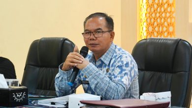 Kepala Brida NTB I Gede Putu Aryadi. (Iba)