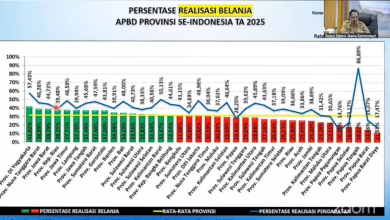 Persentase realisasi belanja APBD provinsi se-Indonesia 2025 dalam diagram batang dan garis. (Fen/Ist)