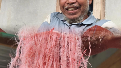 Gula gending, warisan kuliner makanan khas masyarakat lombok. (Fen/Ist)