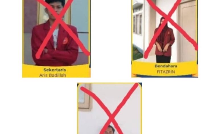 Penyelenggara Pemilihan Umum Mahasiswa (Pemilwa). (Fen/Ist)