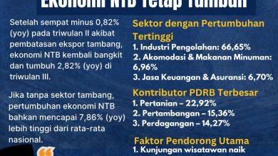 Flyer hasil pertumbuhan ekonomi NTB tanpa tambang. (Fen/Ist)